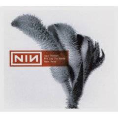 Nine Inch Nails : The Day the World Went Away